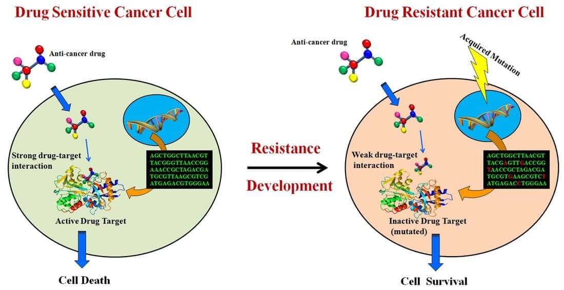 Resistance To Anticancer Drugs
