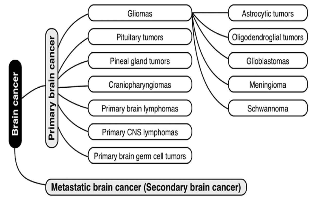 Types Of Brain Cancer