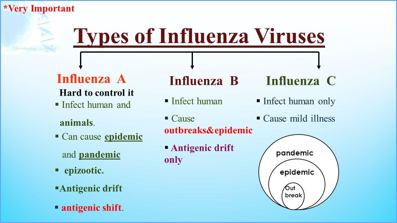 Types Of Influenza